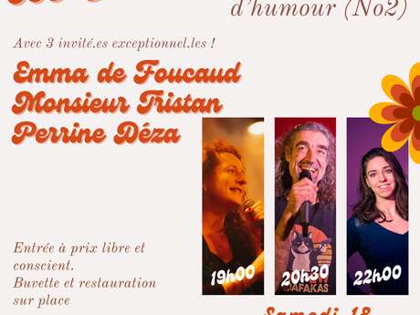 Le Micro Festival (du stand-up) No 2