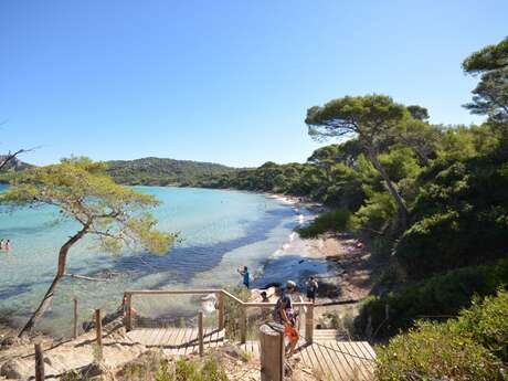 Notre Dame beach