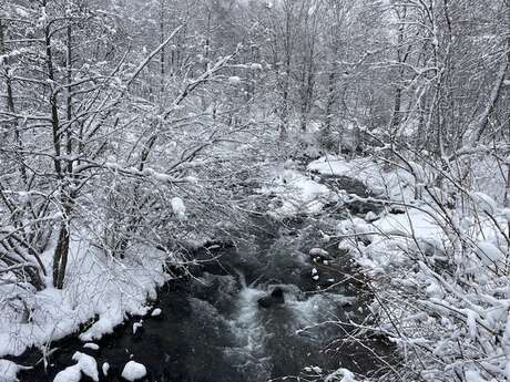 Balade découverte "le lac de Campauleil et la Passade"
