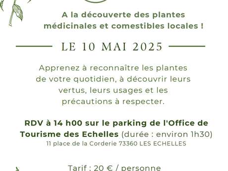 A la découverte des plantes médicinales et comestibles locales