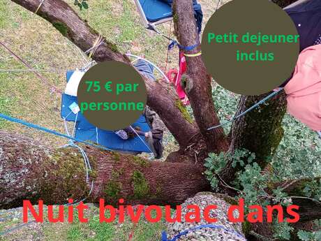 Bivouac nuit dans les arbres