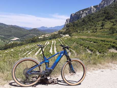 Balade accompagnée en VTT et dégustation à Gigondas LaCave