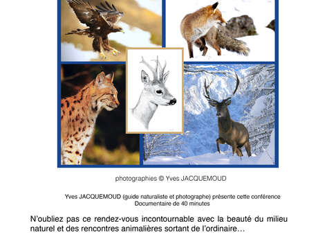 "Rencontres privilégiées avec la faune sauvage alpine" avec Yves Jacquemoud
