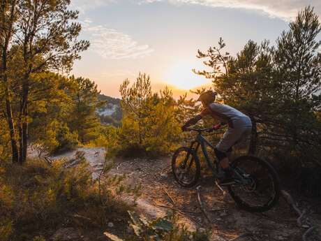Colorado tour by mountain bike