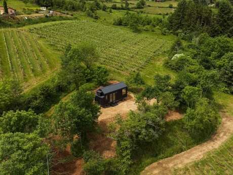 Tiny House Reniteo