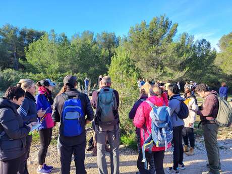 Randonnée et naturopathie dans le Parc national des Calanques