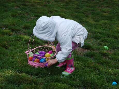 Chasses aux oeufs en Loire Forez