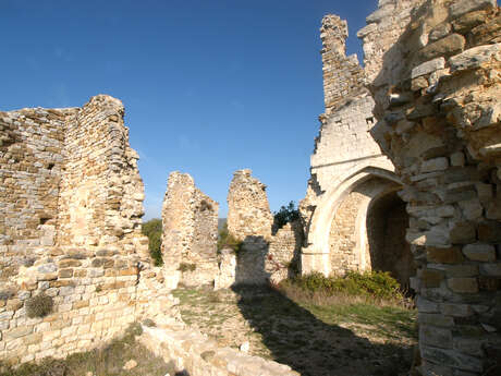 Randonnée pédestre Le Chemin de Vière