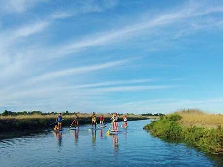 Randonnée en stand-up paddle dans les espaces naturels par Sup Évasion aux Portes-en-Ré