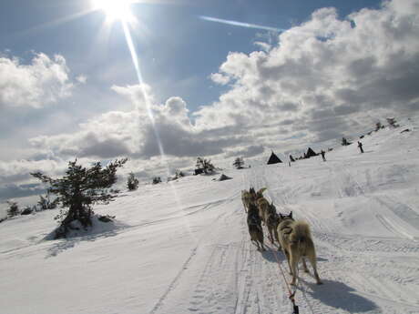 Huskydalen