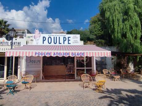Poulpe Atelier Glacé