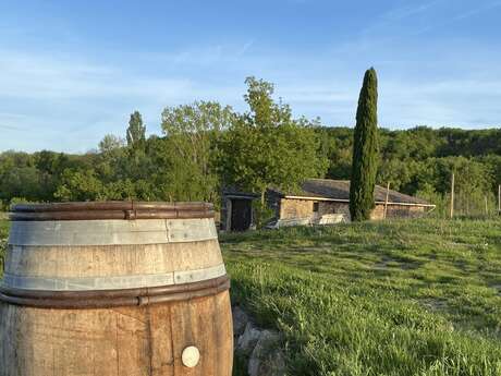 Culture et Vin au Domaine Clusel-Roch