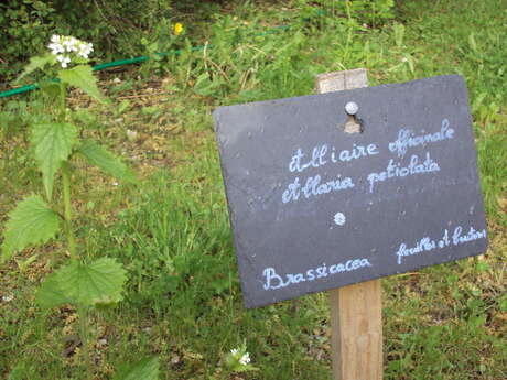 Jardin ethnobotanique au camping de l'Ourson
