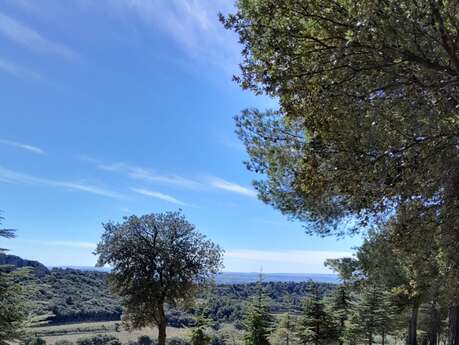 Massages dans les vignes - Domaine de Durban