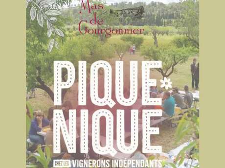 Picnic at an independent winegrower: Mas de Gourgonnier
