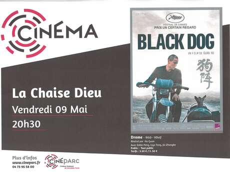 Séance de cinéma : «Black Dog» (VOstf)