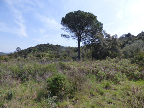 À la découverte du site du Bombardier à Fréjus