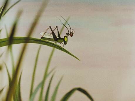 La fourmi, l'ogre et la princesse | Ciné-Minot