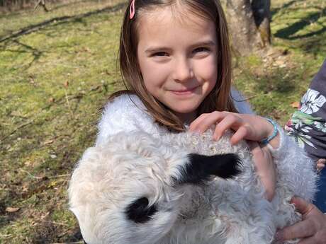 Immersion nature au cœur du troupeau (avec pause gourmande)