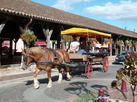 Les Attelages de la Dombes