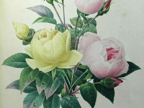 Atelier - Herbier en fleurs