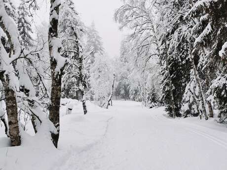 Schneeschuh-/Nordic-Ski-Route Les Mouilles