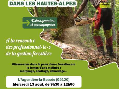Vis ma vie de bûcheron dans les Hautes-Alpes !