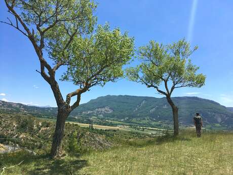 Tour du Pic de l'Aigle