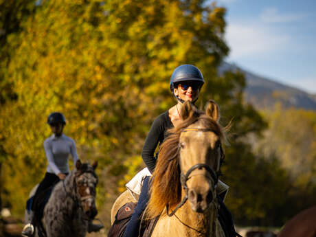Bon cadeau : balade à cheval