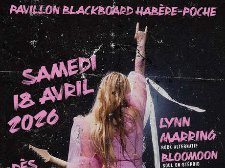 Soirée Concerts avec Sun