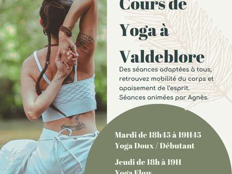 Cours de Yoga - Camping St Dalmas Valdeblore