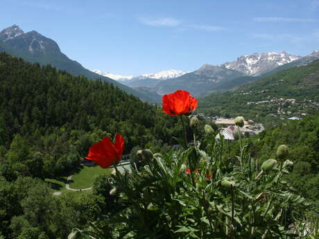 Jardin du Gouverneur