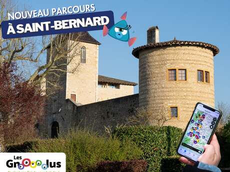 Les Gnolus - Arrête-la si tu peux