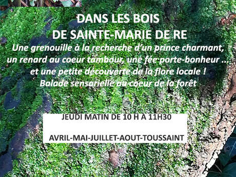 Balades contées de Marie-Ange: Balade Jeune public 3-6 ans