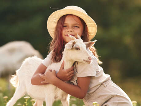 Rocheville à la campagne