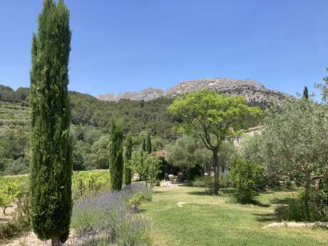 Au soleil du bonheur