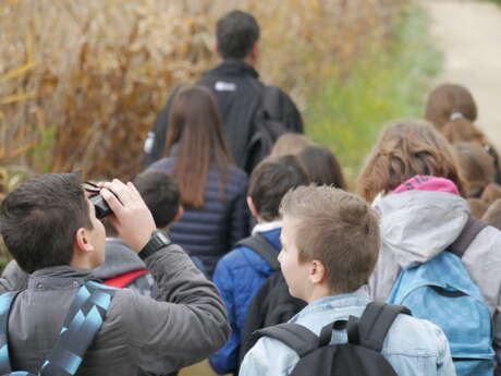 Balades naturalistes