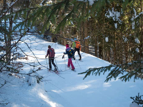 Snowshoeing around the Drouzin forest