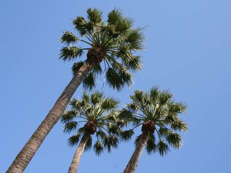 Relais Charlemagne: Presse Librairie et papeterie