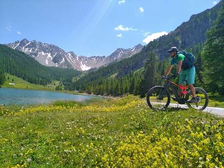 N°62 Rouge Mélézin