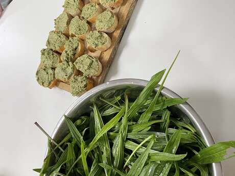 Atelier Cuisine Nature «  Croquons la nature  »