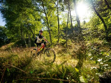 N° 14 - Le débutant - Espace VTT-FFC Massif des Bois Noirs