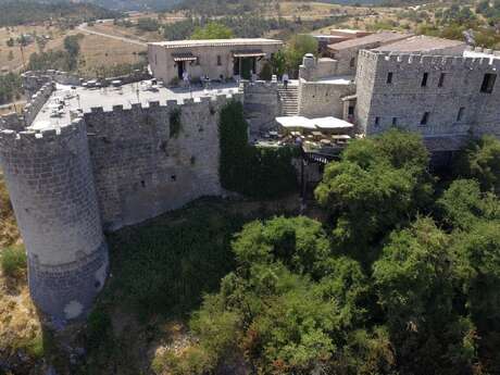 Medieval castle