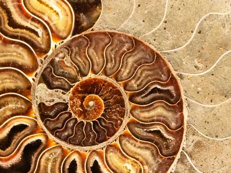 Ateliers manuels et bien-être autour des trésors de Haute Provence