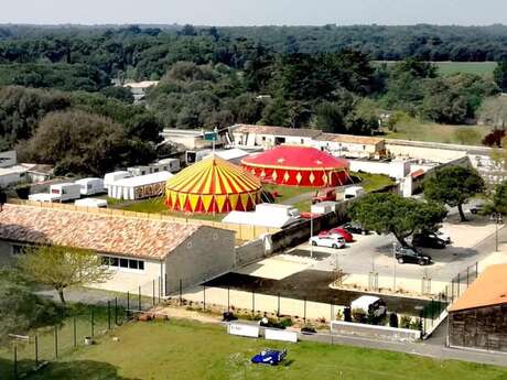 Stage de cirque avec Ophidie Circus