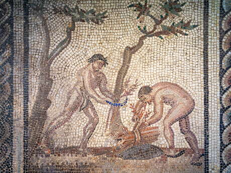 Conférence : activités et techniques agropastorales en gaule romaine