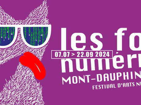 Les folies numériques