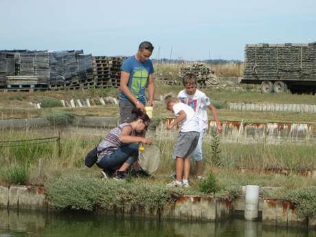 Les Instants Famille : Grand concours de pêche à la crevette