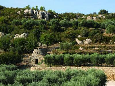 Salon de Provence : Le sentier de la Pastorale