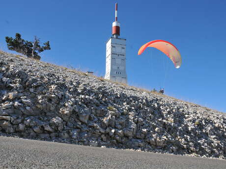 Paragliding flights with Ventoux Parapente